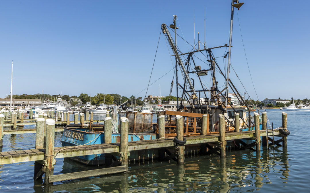 Dredging on the North Shore?