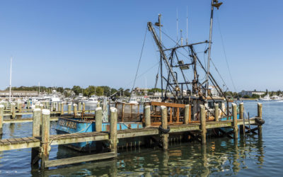 Dredging on the North Shore?
